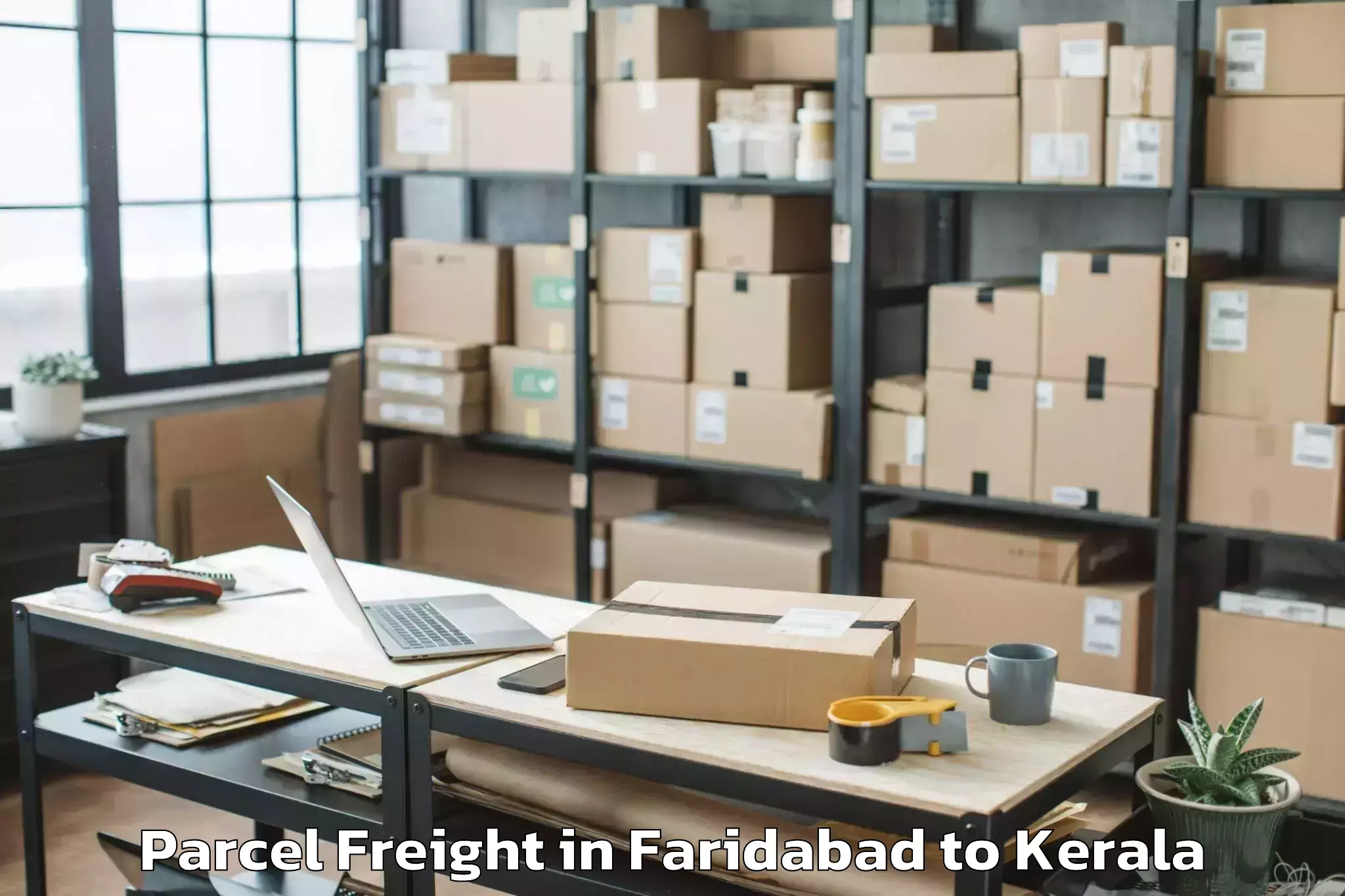 Easy Faridabad to Ottappalam Parcel Freight Booking